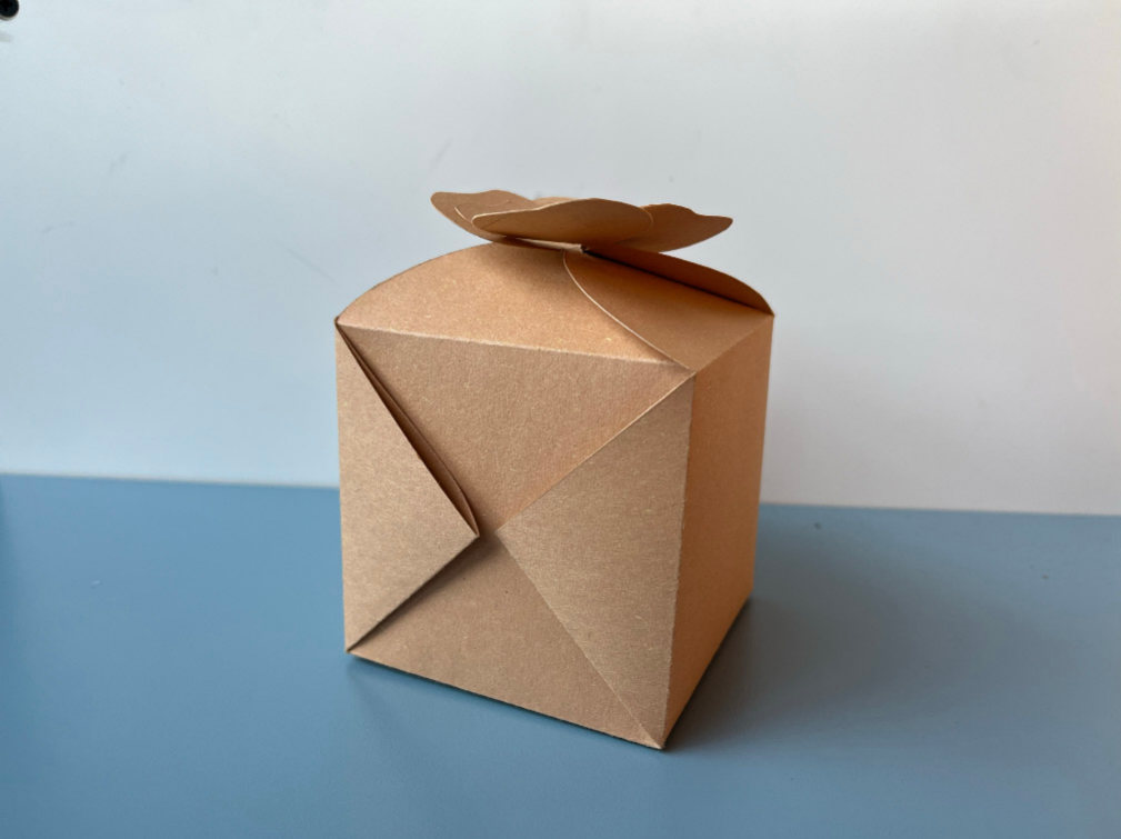 Folded paper packaging experiment 11