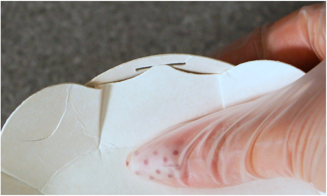 Opening the petal lid of a container